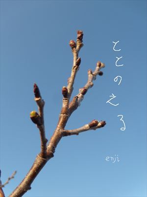 日々の繰り返し!!_d0165772_20324183.jpg