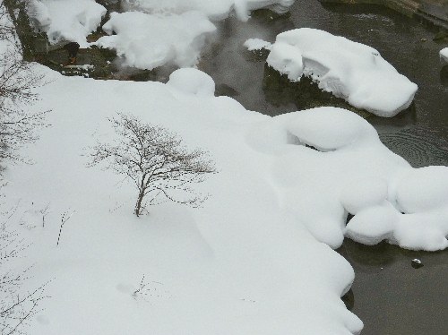 １月・冬の定山渓温泉 （六）_d0084473_1943490.jpg