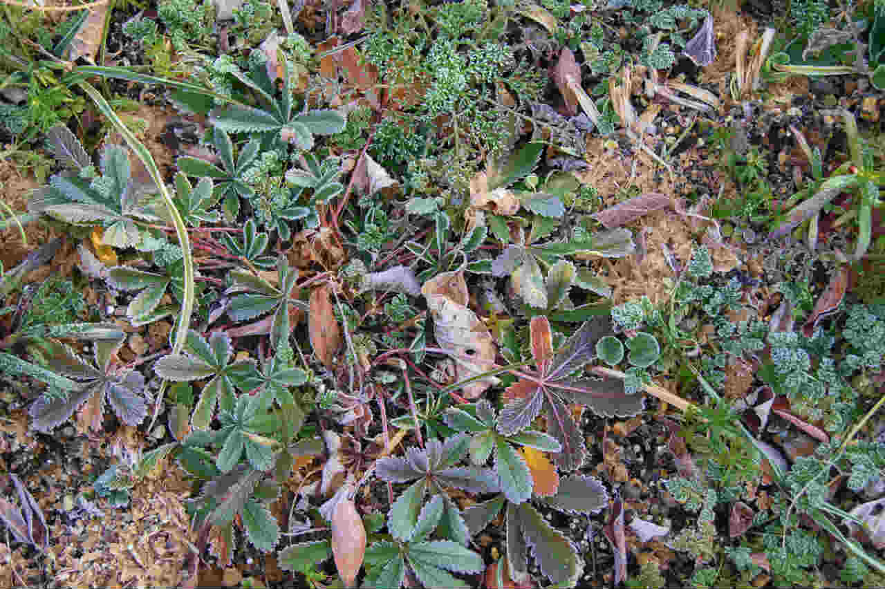 e0181373_20431329.jpg