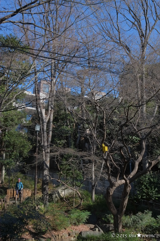 a0142976_16385777.jpg