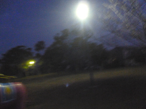 f0178701_1036168.jpg