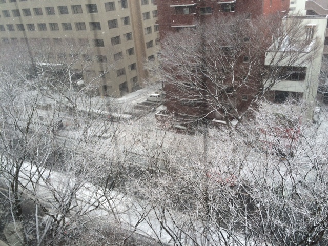 みるみる_c0183104_15344609.jpeg