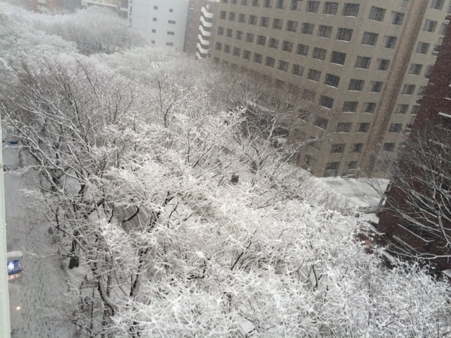 みるみる_c0183104_16130632.jpg
