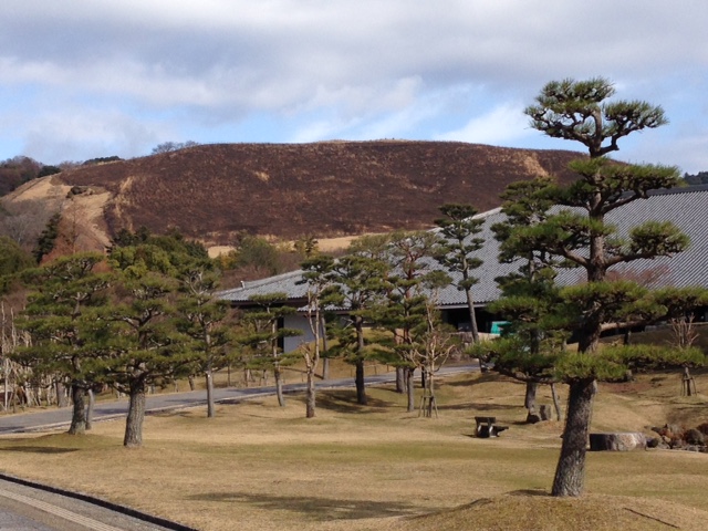 よぉ~焼けてます。_a0326106_21434559.jpg