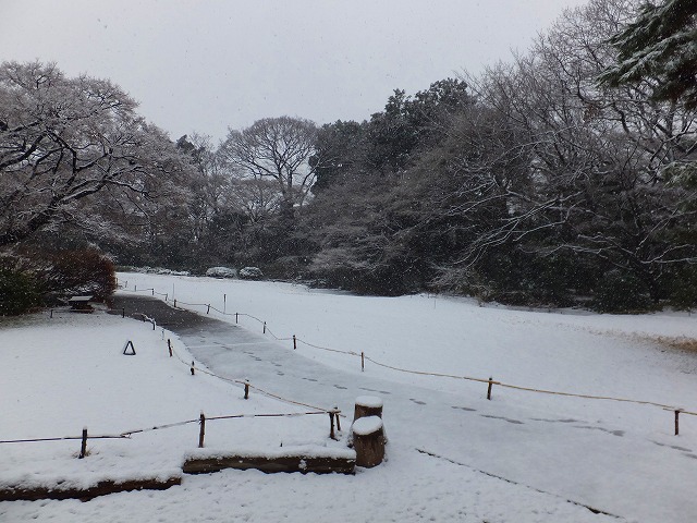 すみれば雪景色_b0049307_1421619.jpg