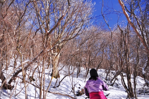 雪のくじゅうで再会☆宴会♪　～1日目～_e0314407_19243161.jpg