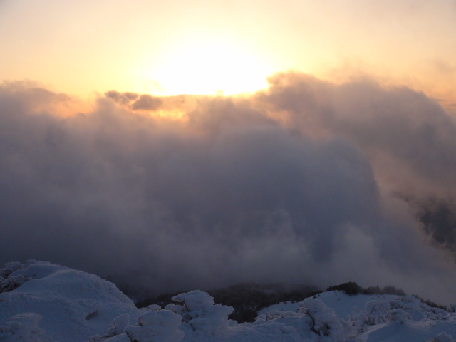 冬山石鎚山系の瓶ケ森…2015/1/30_f0231709_1994319.jpg