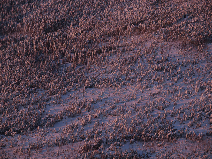 c0110112_22562237.jpg