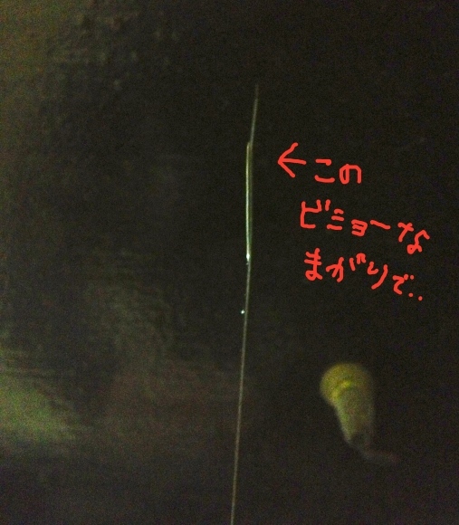 c0271012_08414901.jpg