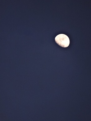 d0129713_2244168.jpg