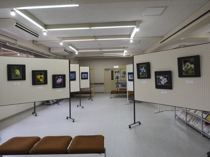 わたしの写真展を案内_c0116915_043073.jpg