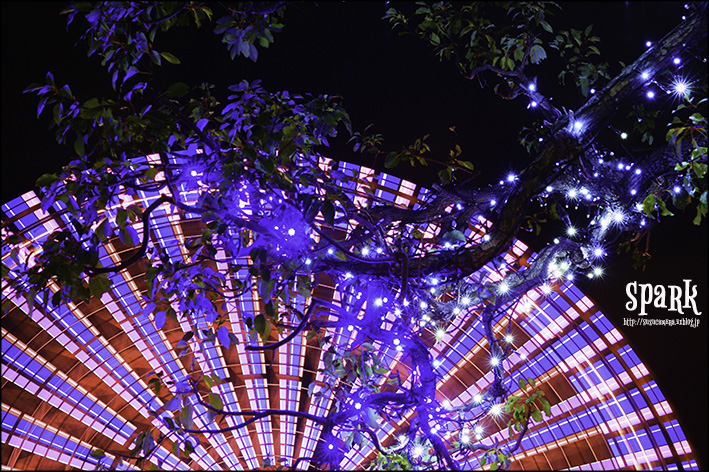 Spark_f0100215_22113996.jpg
