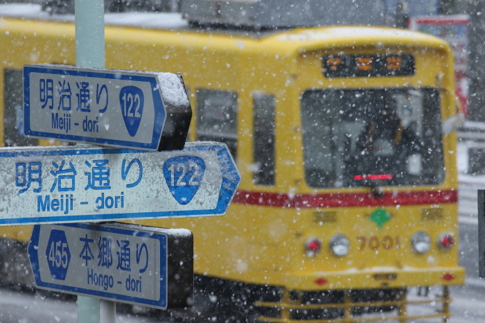 雪　路面電車_b0224616_18293747.jpg