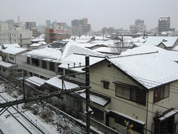 b0255217_131625.jpg