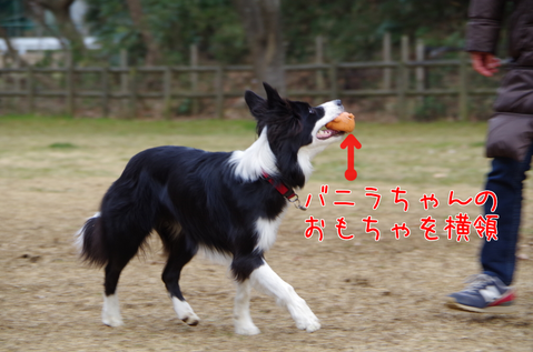 a0232619_13232487.png