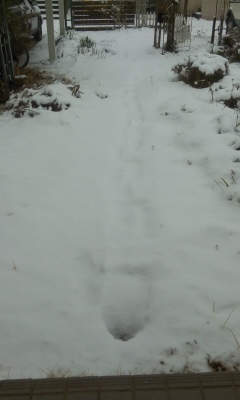 大雪再び?!_a0168922_15392947.jpg
