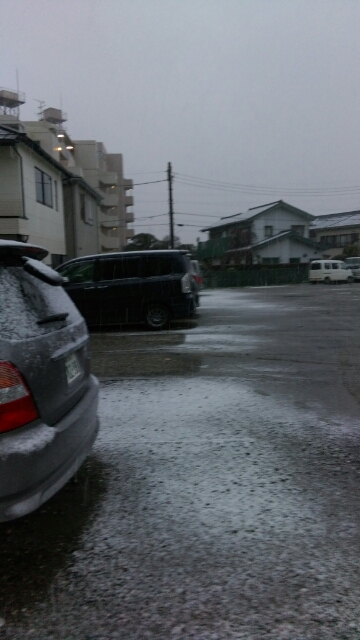 予報通り_b0317723_658613.jpg