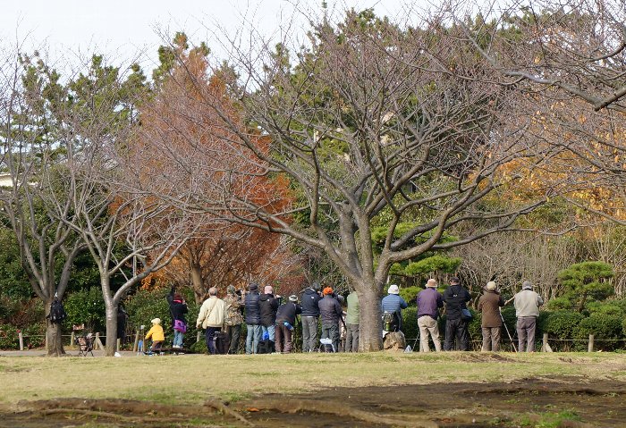 長久保公園にて_e0021129_14225130.jpg