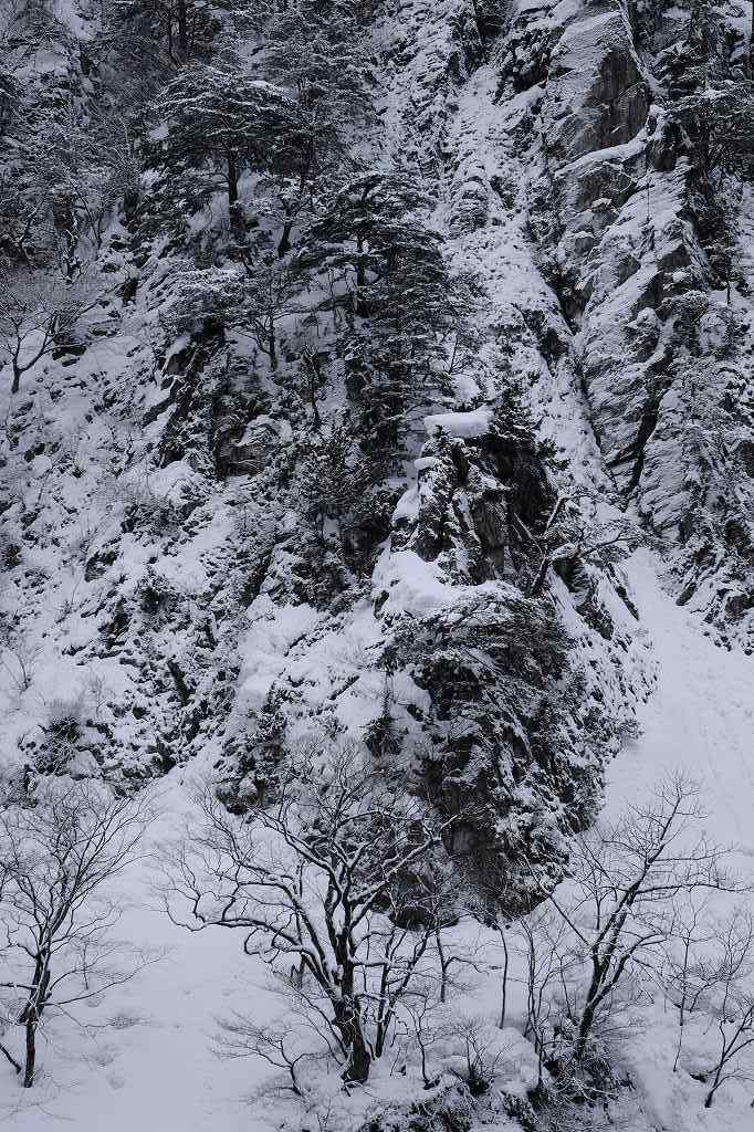 風雪_f0050534_08154875.jpg