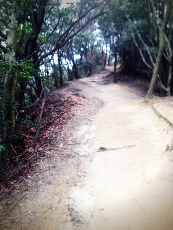 冬の山歩き_d0182937_1052566.jpg