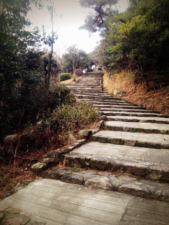 冬の山歩き_d0182937_10531959.jpg