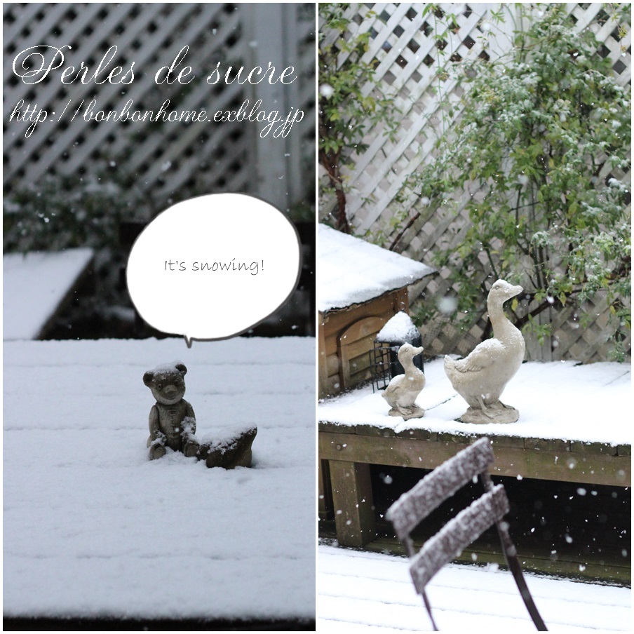雪の一日 と ・・・・ストロベリーNYチーズケーキ _f0199750_14471728.jpg
