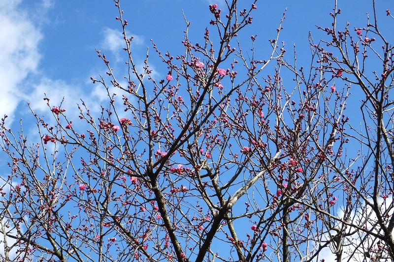 b0236251_11125039.jpg