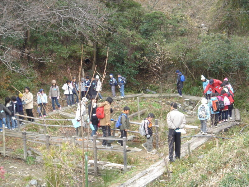 アマモ設置作業&環境学習 in せんなん里海公園_c0108460_10361020.jpg