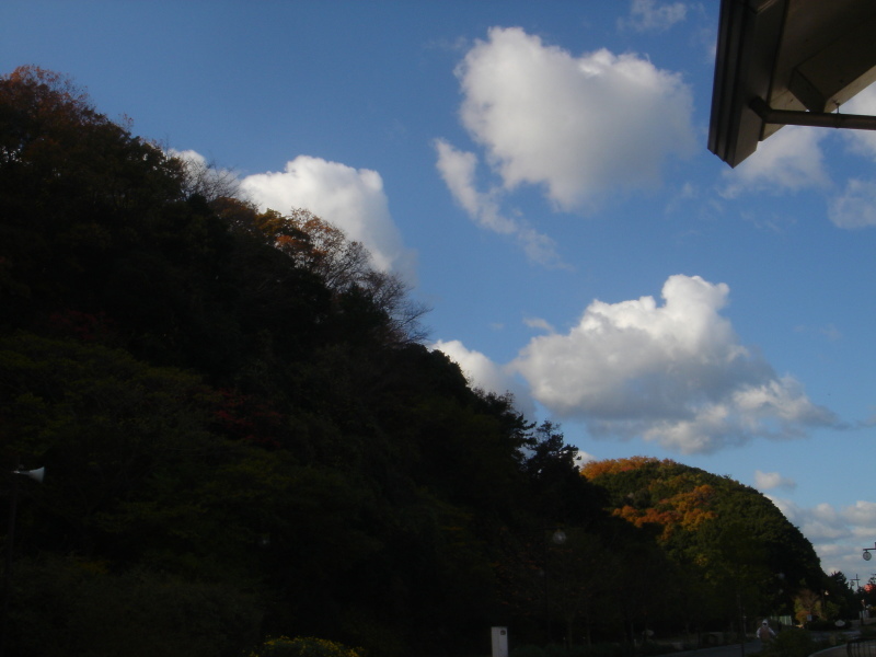 c0108460_23565945.jpg