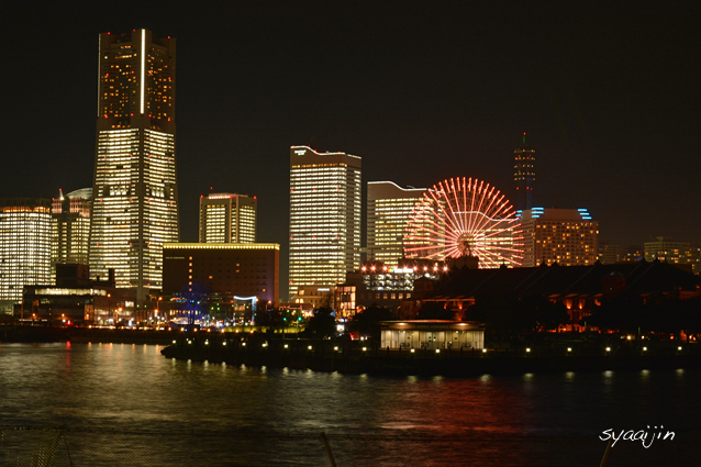 色とりどりに光り輝く 『横浜夜景を巡る』_d0251161_16171973.jpg