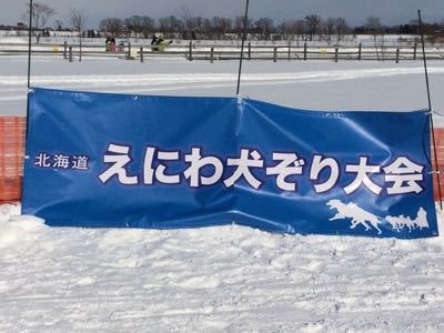 えにわ犬ぞり大会2015_d0197762_8391717.jpg