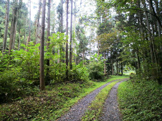 f0208665_89473.jpg