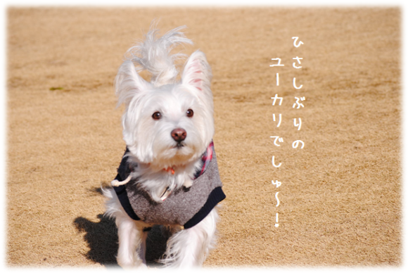 b0242873_01015234.png
