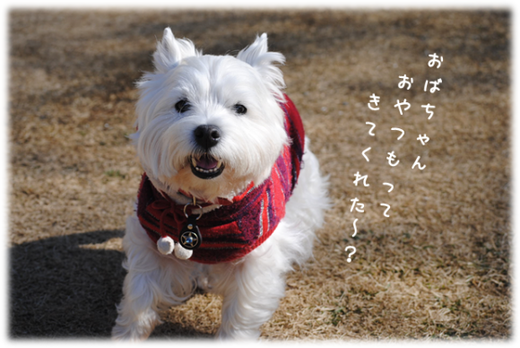 b0242873_01025571.png