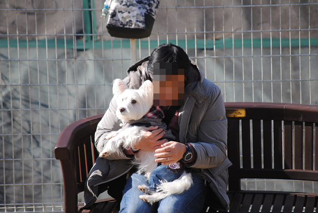 b0242873_01130107.png