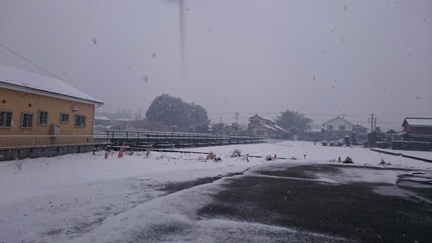 雪だ!_e0040673_1181560.jpg