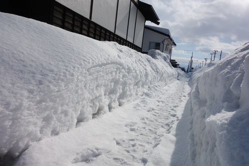 山形経由で青森に_d0143475_7262550.jpg