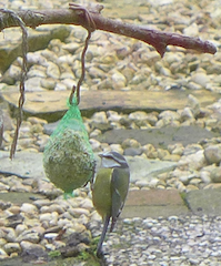 c0197980_7111255.png