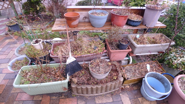 c0212083_20291699.jpg