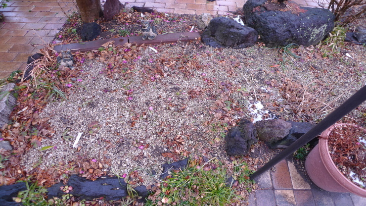 c0212083_20292363.jpg