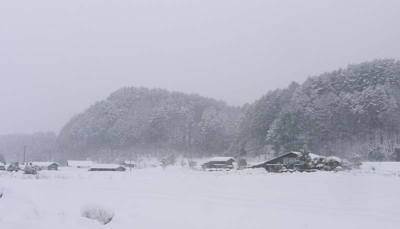 １月３０日、「夕刊」　息子にフラれて。。。_a0130586_18503522.jpg