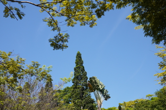 b0183295_17453276.jpg