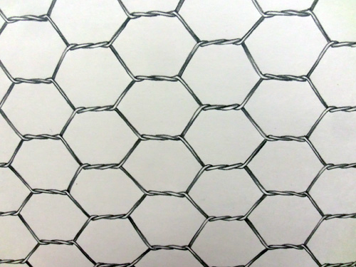 e0104695_20198.jpg