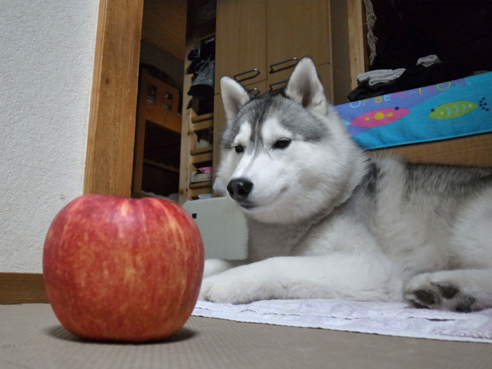 c0049299_22271818.jpg