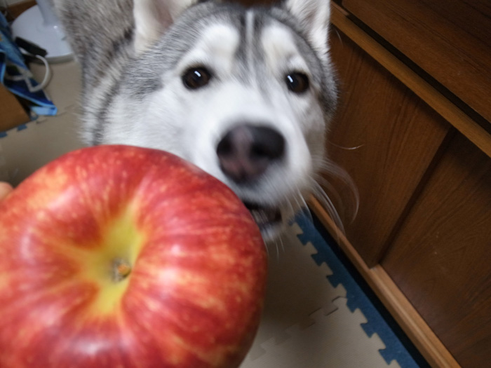 c0049299_2227749.jpg