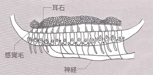 d0133199_20482132.png