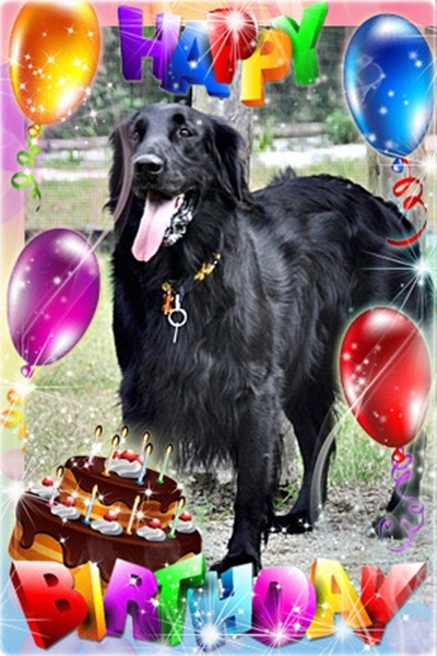 ✱✱ 9歳 ✱✱_f0176499_01110440.jpg