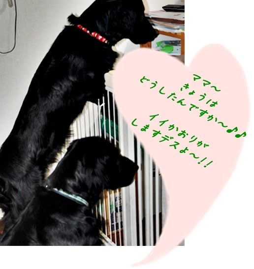 ✱✱ 9歳 ✱✱_f0176499_01122772.jpg