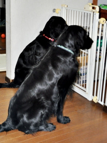 ✱✱ 9歳 ✱✱_f0176499_01125609.jpg