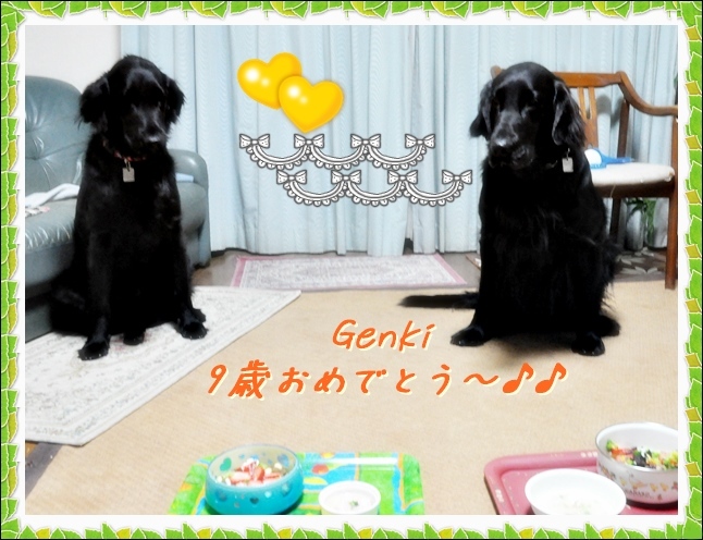 ✱✱ 9歳 ✱✱_f0176499_01215045.jpg